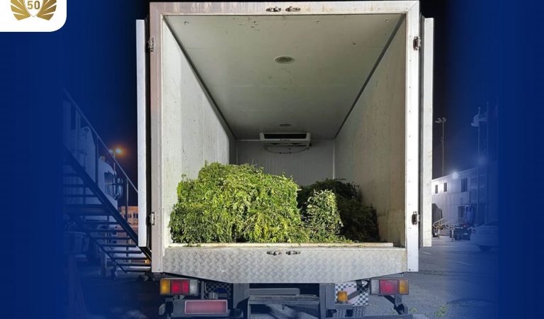Dubai Customs seizes 64 Falcons hidden inside vegetable trucks