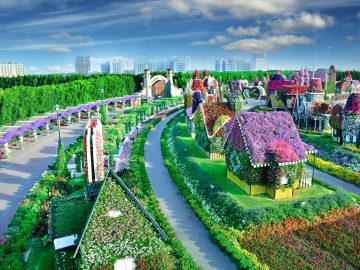 Dubai Miracle Garden