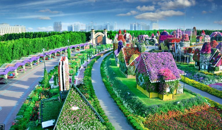 Get Your Tickets Before It’s Too Late: Dubai Miracle Garden Closing Soon