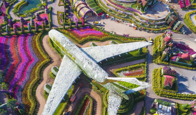 Dubai Miracle Garden Welcomes Visitors Again