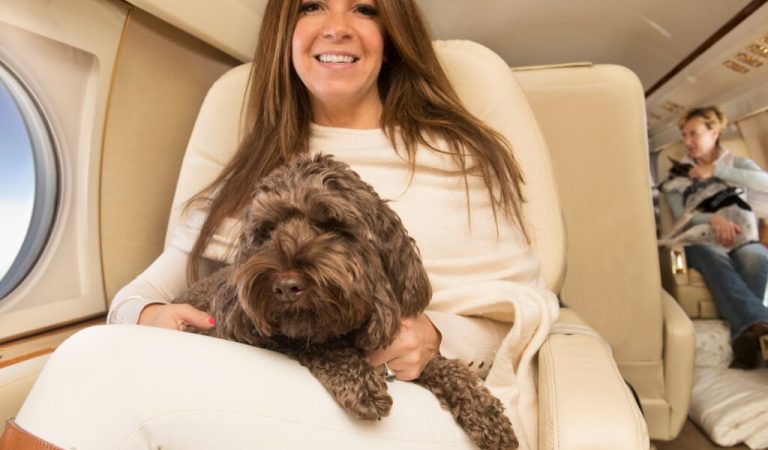 K9 JETS Launches Luxury Pet Travel: Dubai to London by Private Jet